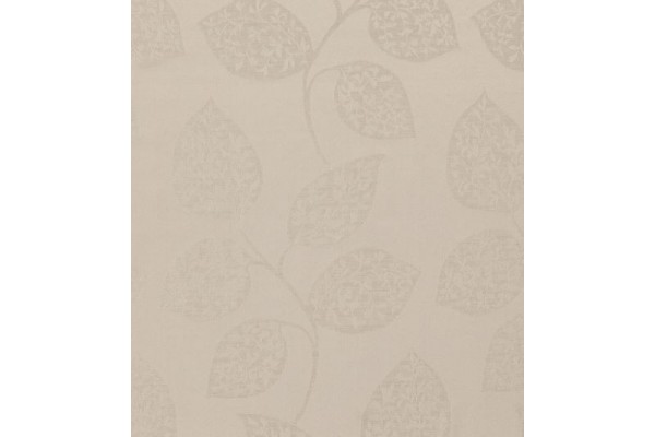 Acacia Balearic