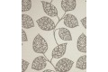 Acacia Balearic