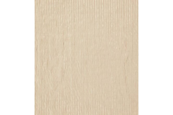 Acacia Balearic
