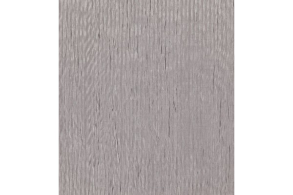 Acacia Balearic