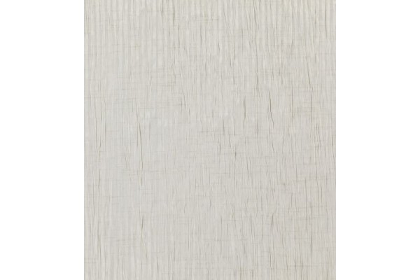 Acacia Balearic