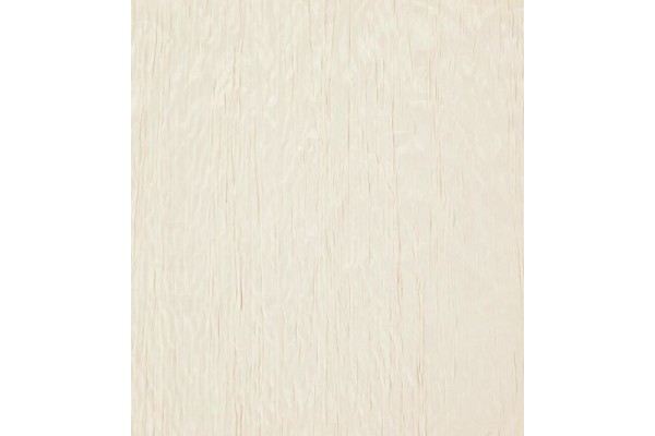 Acacia Balearic