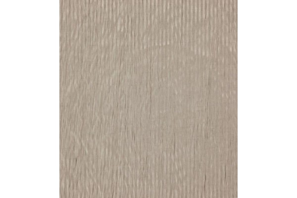 Acacia Balearic