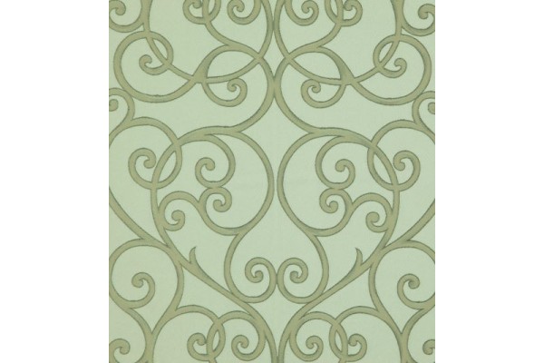 Acacia Cameo