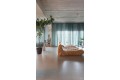 Acacia Balearic