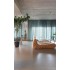 Acacia Balearic