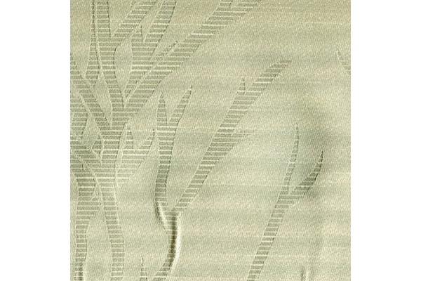 Accordo Tropica