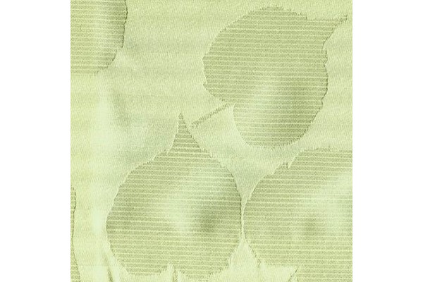 Accordo Tropica