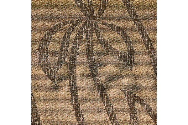 Accordo Tropica