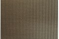 VM Zebra Blind