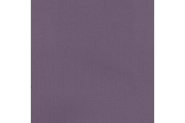 Jotex Aster (Dimout)