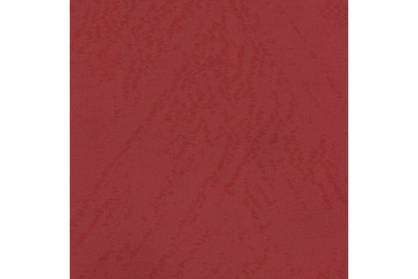 Jotex Aster (Dimout)