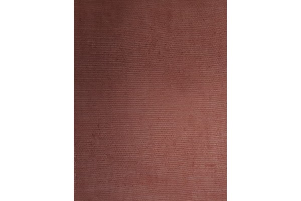 Jotex Light Sheer (Sheer)