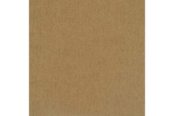 Jotex Riga