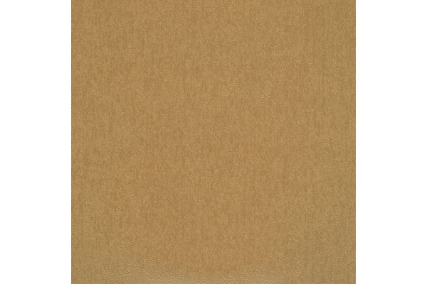 Jotex Riga