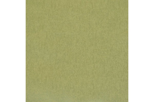 Jotex Riga