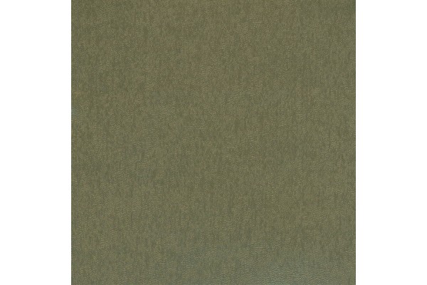 Jotex Riga